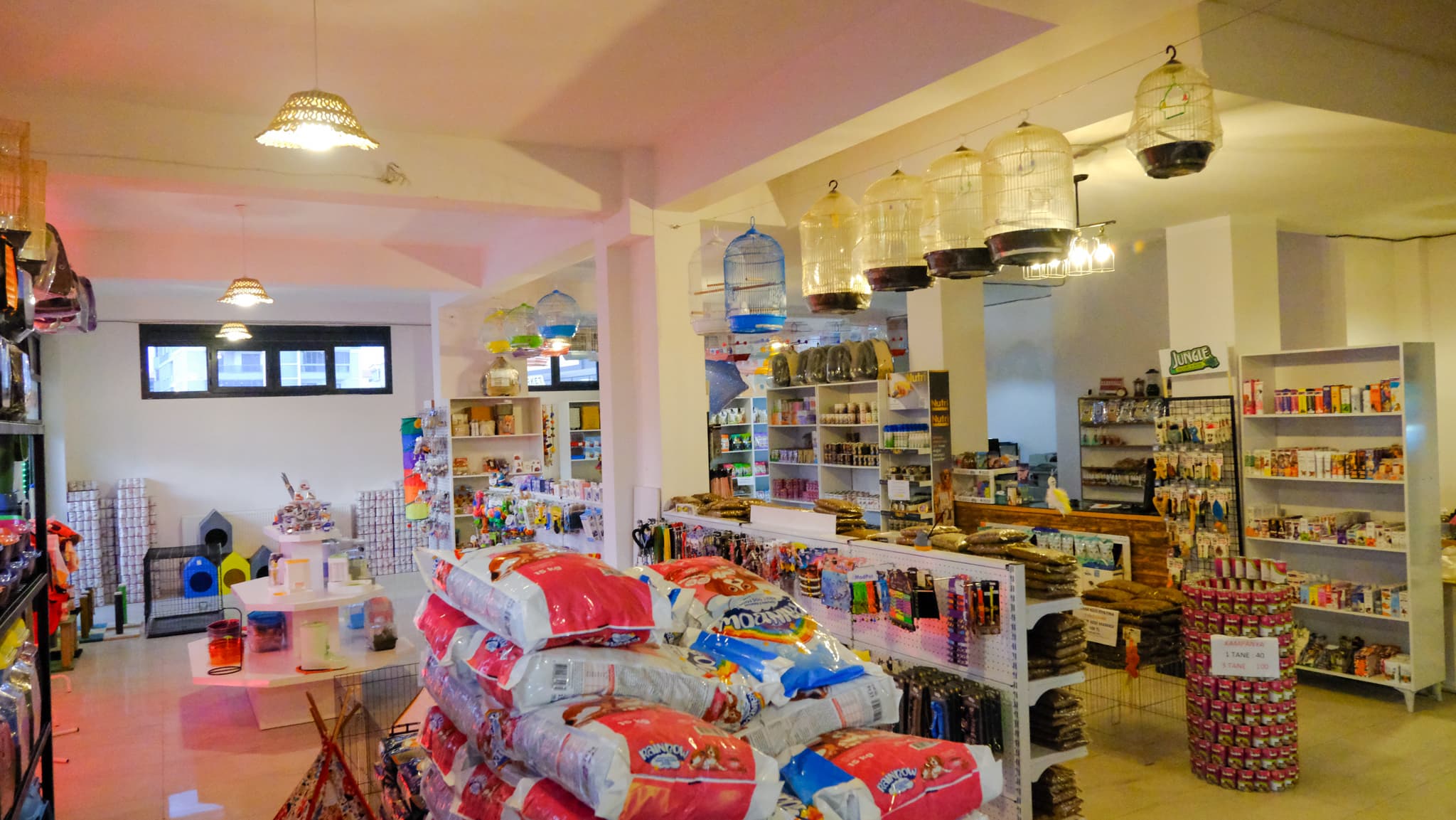Delikanlı Petshop ürün ve mağaza ortamı